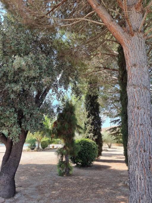 El Rulon, Gran Villa Rural Con Piscina Privada Alicante Kültér fotó