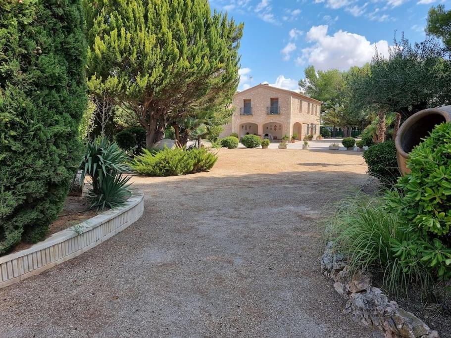 El Rulon, Gran Villa Rural Con Piscina Privada Alicante Kültér fotó
