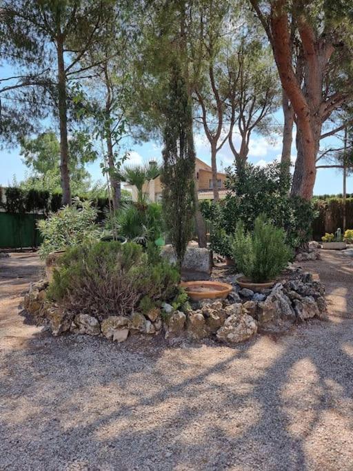 El Rulon, Gran Villa Rural Con Piscina Privada Alicante Kültér fotó