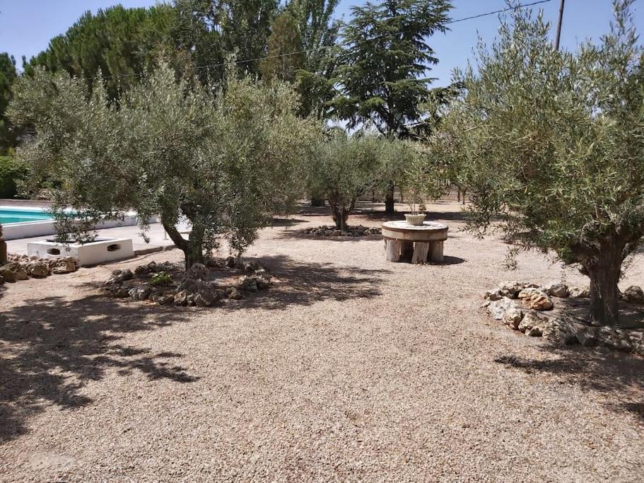 El Rulon, Gran Villa Rural Con Piscina Privada Alicante Kültér fotó