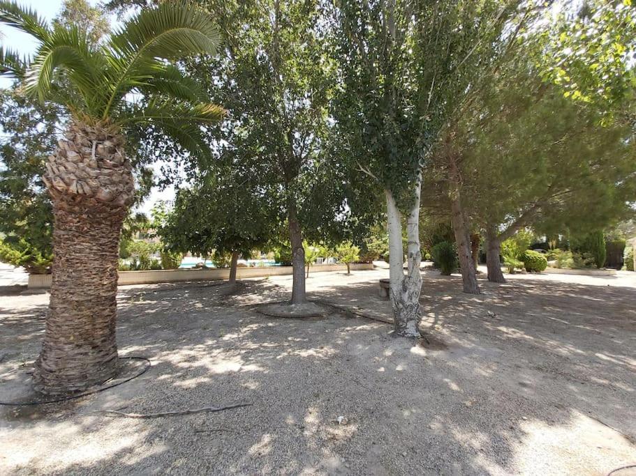 El Rulon, Gran Villa Rural Con Piscina Privada Alicante Kültér fotó
